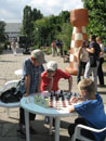 шахматы в парке